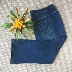 Lane Bryant jeans Slim boot medium wash 28P (Plus)